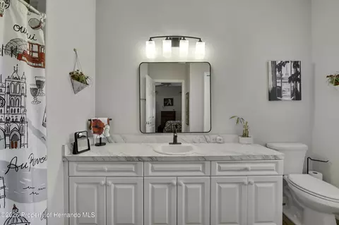 15036 Silversmith Cir, Spring Hill, FL 34609 photo 22