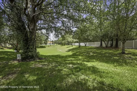 15036 Silversmith Cir, Spring Hill, FL 34609 photo 28