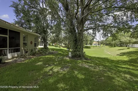 15036 Silversmith Cir, Spring Hill, FL 34609 photo 29