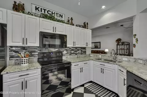 15036 Silversmith Cir, Spring Hill, FL 34609 photo 3