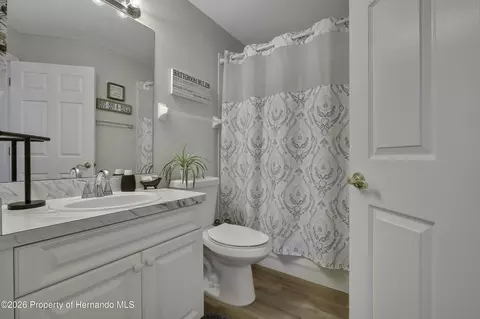 15036 Silversmith Cir, Spring Hill, FL 34609 photo 17