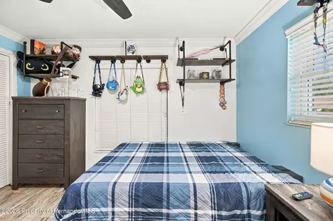 Bedroom - 8331 Echo Ln, Spring Hill, FL 34608 photo 6 of 8