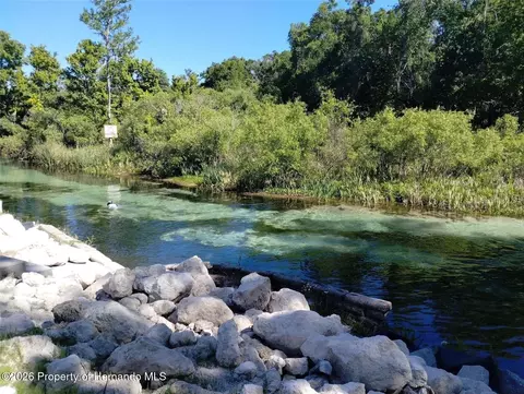 7071 Mertal St, Weeki Wachee, FL 34607 photo 6