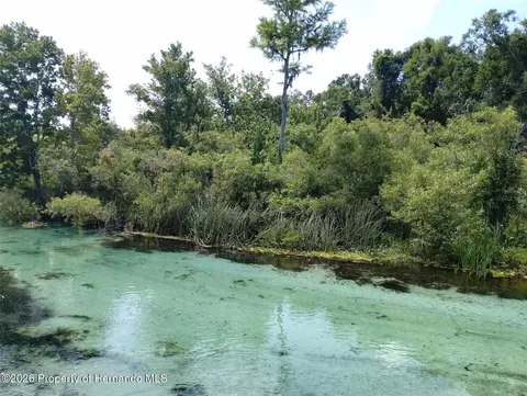 7071 Mertal St, Weeki Wachee, FL 34607 photo 8