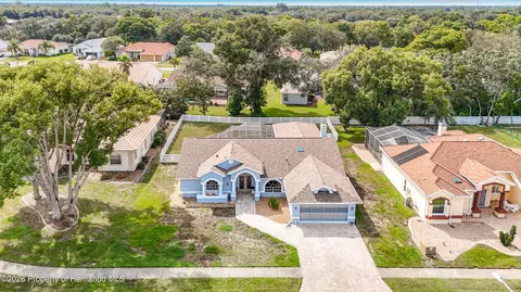 View/Area - 1051 Hook Dr, Spring Hill, FL 34608 photo 6 of 9
