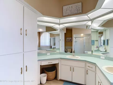 Bath - 1051 Hook Dr, Spring Hill, FL 34608 photo 3 of 7
