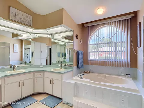 Bath - 1051 Hook Dr, Spring Hill, FL 34608 photo 1 of 7