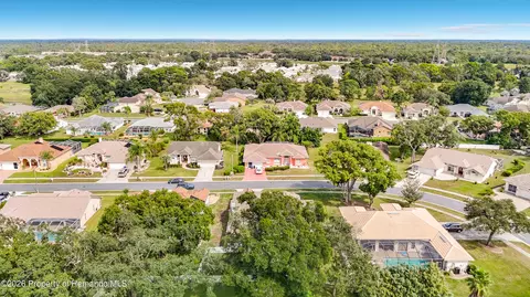 View/Area - 1051 Hook Dr, Spring Hill, FL 34608 photo 4 of 9