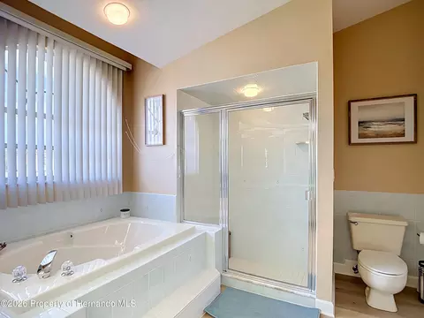 Bath - 1051 Hook Dr, Spring Hill, FL 34608 photo 4 of 7