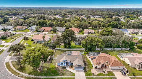 View/Area - 1051 Hook Dr, Spring Hill, FL 34608 photo 5 of 9