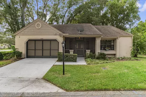 6696 Pin Oak Ct, Spring Hill, FL 34606