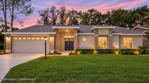 1385 Summerwood Ct, Spring Hill, FL 34606