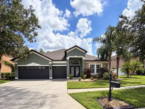 3124 Chessington Dr, Land O'lakes, FL 34638