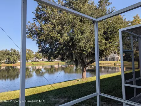 View/Area - 15815 Stable Run Dr, Spring Hill, FL 34610 photo 2 of 4