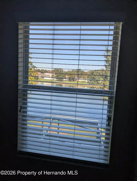 View/Area - 15815 Stable Run Dr, Spring Hill, FL 34610 photo 3 of 4