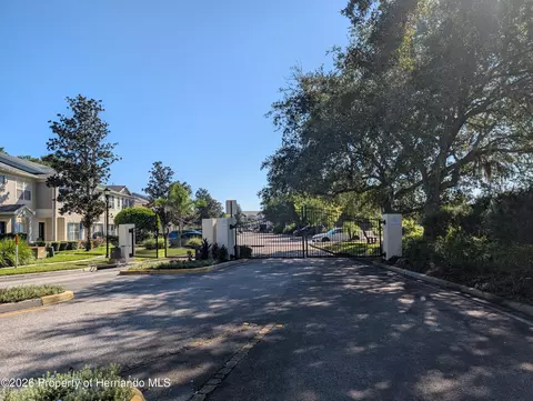 Other - 15815 Stable Run Dr, Spring Hill, FL 34610 photo 7 of 7