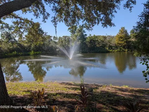 View/Area - 15815 Stable Run Dr, Spring Hill, FL 34610 photo 4 of 4