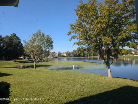 Other - 15815 Stable Run Dr, Spring Hill, FL 34610 photo 2 of 7