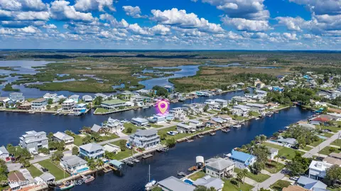 View/Area - 3337 Mangrove Dr, Hernando Beach, FL 34607 photo 15 of 16