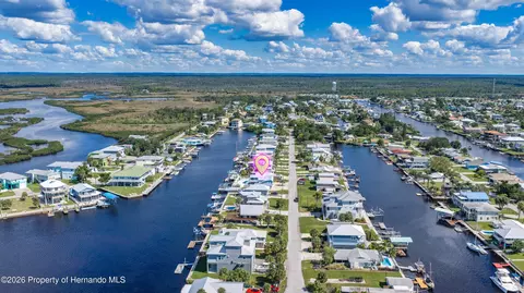 View/Area - 3337 Mangrove Dr, Hernando Beach, FL 34607 photo 14 of 16