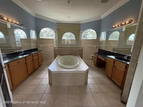Bath - 4045 Hanging Moss Loop, Spring Hill, FL 34609 photo 1 of 4