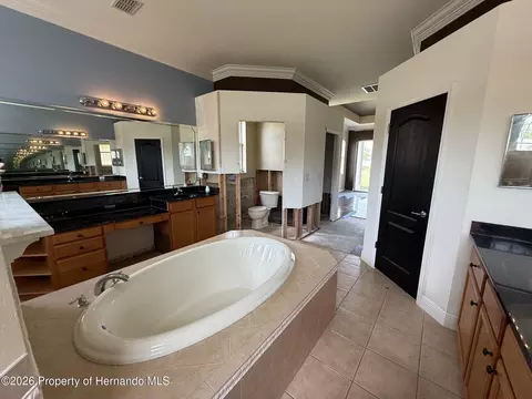 Bath - 4045 Hanging Moss Loop, Spring Hill, FL 34609 photo 2 of 4