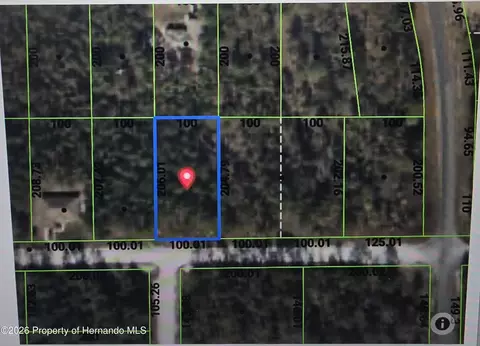 0 Albany Rd, Weeki Wachee, FL 34614
