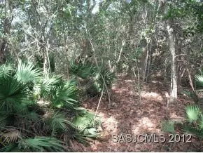 421 Ocean Forest Dr, Saint Augustine, FL 32080 photo 11