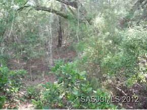 421 Ocean Forest Dr, Saint Augustine, FL 32080 photo 8