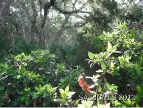 421 Ocean Forest Dr, Saint Augustine, FL 32080 photo 12