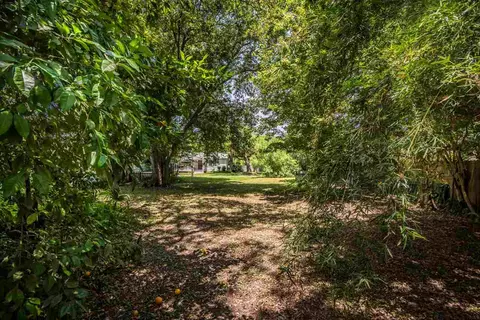 31 Atlantic Ave, Saint Augustine, FL 32084 photo 5