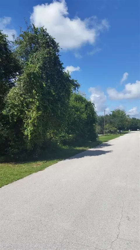 238 Gentian Rd, Saint Augustine, FL 32086 photo 2
