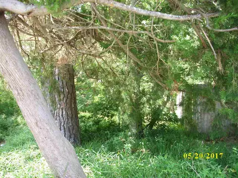 221 Columbus St, Saint Augustine, FL 32084 photo 4