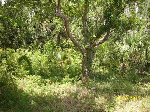 221 Columbus St, Saint Augustine, FL 32084 photo 6