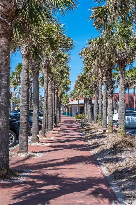 1101 Violet St, Atlantic Beach, FL 32233 photo 38