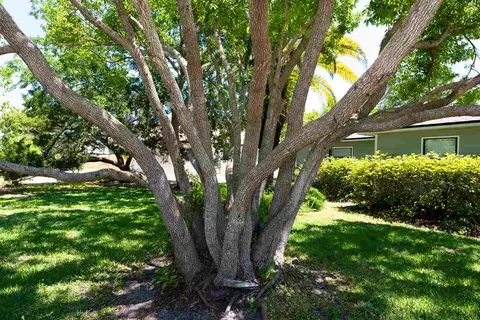 315 Alcazar St, Saint Augustine, FL 32080 photo 3
