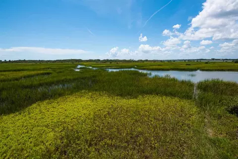 551 Carcaba Rd, Saint Augustine, FL 32084 photo 3