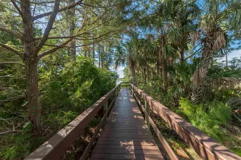 2611 Vista Cove Rd, Saint Augustine, FL 32084 photo 33