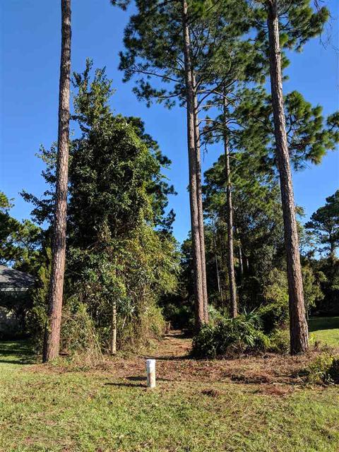 108 Bottlebrush Dr, Saint Augustine, FL 32086 photo 5
