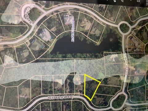 399 Ocean Forest Dr, Saint Augustine, FL 32080 photo 16
