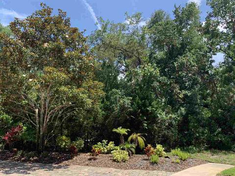 399 Ocean Forest Dr, Saint Augustine, FL 32080 photo 10