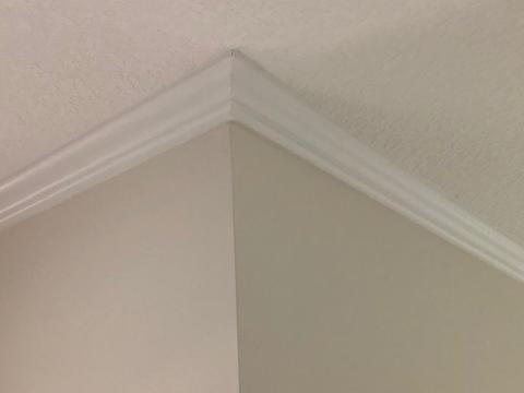 242 Timoga Trl, Saint Augustine, FL 32084 photo 31
