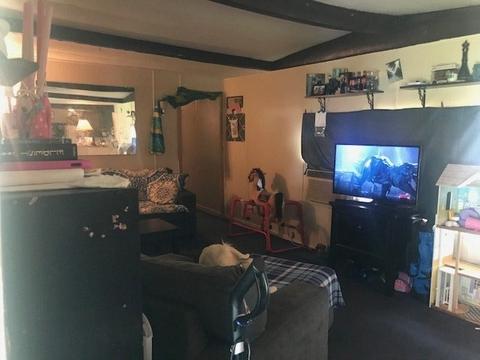 3511 Begonia St, Saint Augustine, FL 32084 photo 4