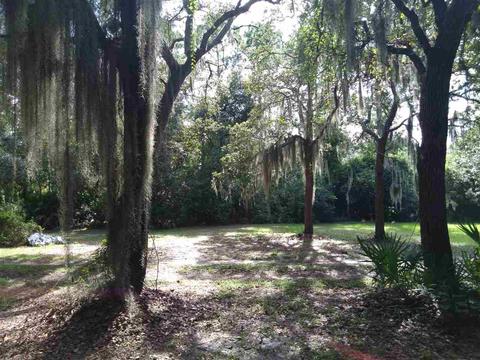 6530 Sherry Ln, Saint Augustine, FL 32095 photo 19