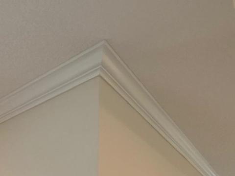 142 Timoga Trl, Saint Augustine, FL 32084 photo 23