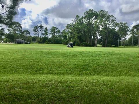 524 Domenico Cir, Saint Augustine, FL 32086 photo 3