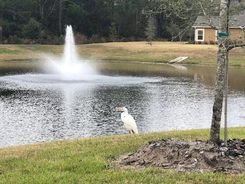 144 Calusa Crossing Dr, Saint Augustine, FL 32084 photo 32