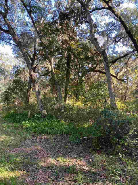 5143 Avenue B, Saint Augustine, FL 32095 photo 24