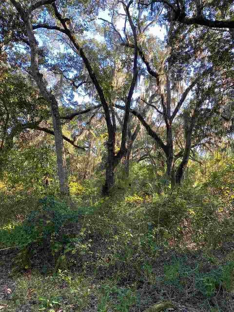 5143 Avenue B, Saint Augustine, FL 32095 photo 23
