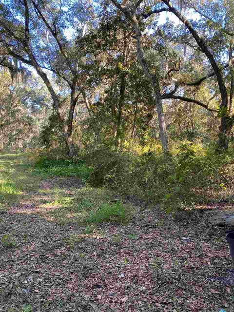 5143 Avenue B, Saint Augustine, FL 32095 photo 28